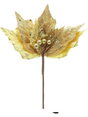 Empressco Renkli Atatürk Çiçeği, Şık ve Canlı Dekoratif Bitki Hediye