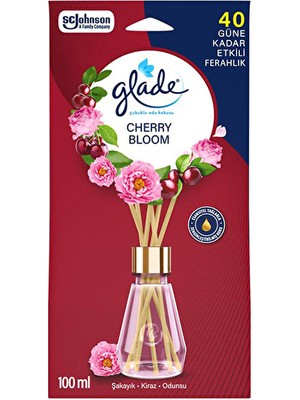 Glade Çubuklu Oda Kokusu Cherry Bloom (3 Adet)