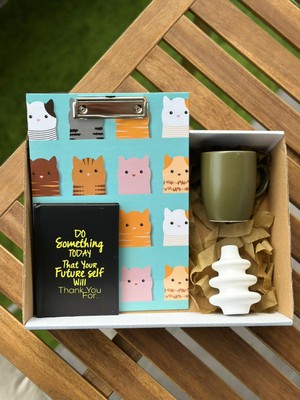 Hediye Kutusu/hediye Sepeti Tasarım Kutuu