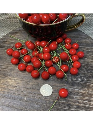 Empressco Kırmızı Kokina Cicitop Süsleme ve Paketleme Mini Telli Berry Yılbaşı Teması