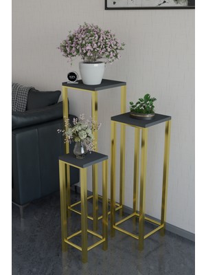 Alpa Ev Mobilya Modern 3'lü Metal Ayaklı Saksılık Dekoratif Çiçeklik Çok Amaçlı Yan Sehpa