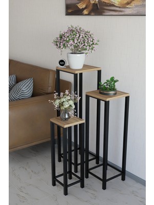 Alpa Ev Mobilya Modern 3'lü Metal Ayaklı Saksılık Dekoratif Çiçeklik Çok Amaçlı Yan Sehpa