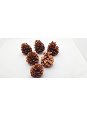 Empressco Boyalı Kozalak Model 08, Yılbaşı ve Noel Ağacı Süsleme Için Dekoratif Dekorasyon