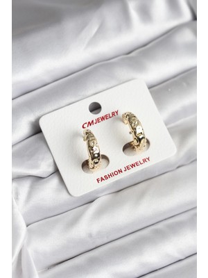 14K Renk Kaplama cm Kadın Küpe - TJ-BKP11420