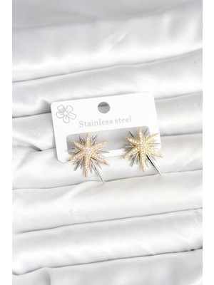 Callerrons Accessories Pirinç Gümüş Renk Kutup Yıldızı Kadın Küpe - EBJ251201W38504