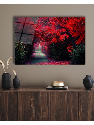 Marsilyan Kırmızı Ağaçlı Orman Yolu Cam Tablo