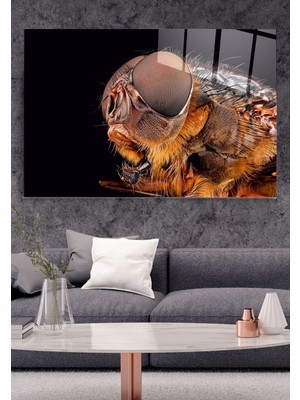 Marsilyan Arı Cam Tablo, Dekoratif Cam Tablo