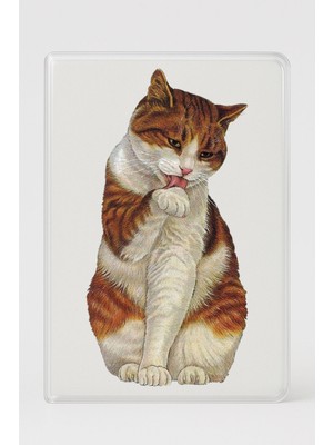 Şeffaf Pasaport Kılıfı Kalın Mikron Kart Bölmeli Desenli Pasaport Kabı - Graphic Cat