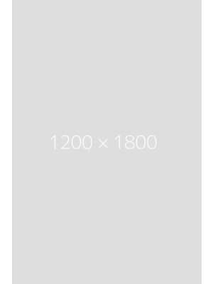 52 Armine Sura Ipek Eşarp 9165D