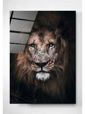 Marsilyan Aslan 2 Cam Tablo