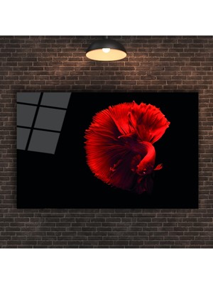 Marsilyan Kırmızı Balık Cam Tablo