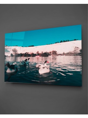 Marsilyan Pamukkale ve Ördek Cam Tablo