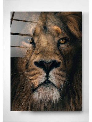 Marsilyan Aslan Cam Tablo