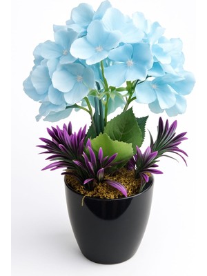Blue Breeze Hydrangea – Mavi Ortanca Aranjmanı