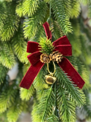 Empressco 5 Adet Bordo Kadife Çam Dallı Ağaç Süsü Fiyonk Seti