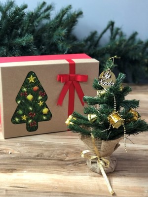 Empressco Karton Kutuda Kırmızı Mini Masa Üstü Yılbaşı Ağacı ve Süsleri Seti