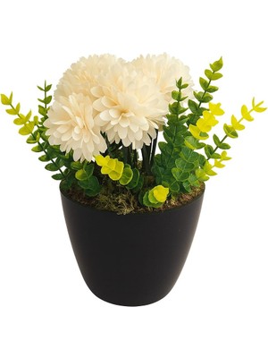 Cream Chrysanthemum Elegance – Krem Kasımpatı Aranjmanı