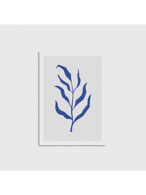 Domirus Herb Çerçevesiz Poster Duvar Dekorasyonu