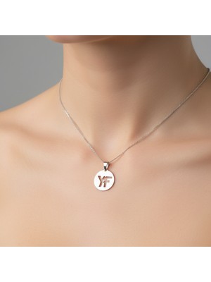 TabiTela 925 Ayar gümüş kolye F&Y SM11564