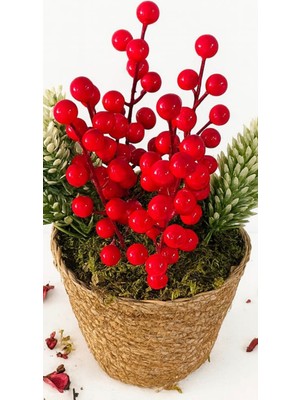 Kış Kırmızısı Kokina Berry & Hasır Saksı Mini Aranjman