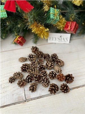 Empressco Renkli Kozalaklı 20 Parça Mini Kış Süsü, Doğal Çam Ağacı Dekoru