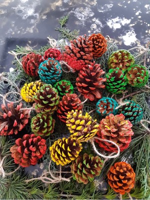 Empressco Yılbaşı Süsü, 4 Adet Renkli Çam Kozalak ve Kar Efektli Ipli Asma Süsü