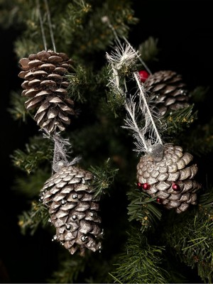 Empressco Yılbaşı Çam Ağacı Süsü Seti, Kozalak ve Gümüş Renk, Dekor ve Hediye Seçeneği