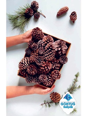 Empressco Çok Renkli Yılbaşı Kozalaklar, 25 Adet, Dekoratif ve Şık Süsler