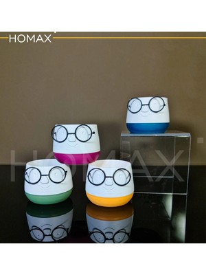 FRY Gözlüklü Dekoratif Saksı Orta Boy 1 Adet ROYALEKS-5721