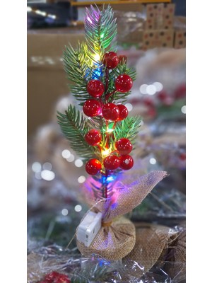 Empressco Işıklı 24 cm Şans Kokinası, LED Yılbaşı Dekoru, Masaüstü Noel Çiçeği, Çok Renkli