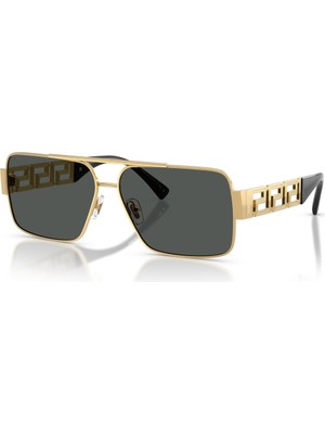 Versace Güneş Gözlüğü VE2290 61 100287