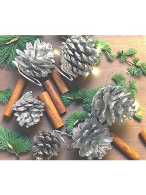 Empressco 6'lı Gümüş Renk Kozalak Yılbaşı Ağacı ve Dekor Süsü – 4 cm