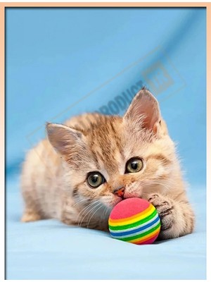 MERİVİA Allproduct TR Allproduct Renkli 3’lü Sünger Kedi Köpek Oyuncak Topu Seti – Yumuşak Çiğneme Oyuncağı – Interaktif Evcil Hayvan Oyun Topları – Kedi Köpek Eğlence & Egzersiz Oyuncağı – Dayanıklı