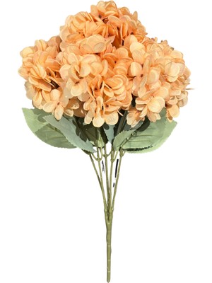 Lara Decor - Somon 5'li Ortanca Demeti