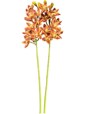 Lara Decor Kahve 2'li Orkide Demeti