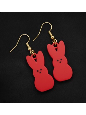 Kanem3D 2 Çift Sevimli Tavşan Küpeler