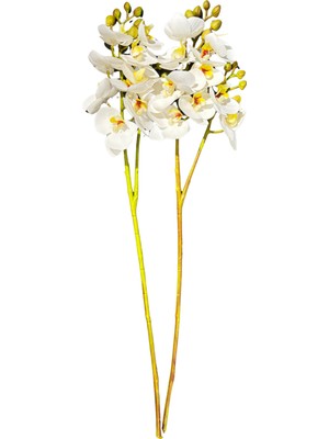 Lara Decor Beyaz 2'li Orkide Demeti