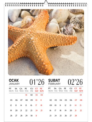 Genel Tedarik 2026 Deniz Kabukları Temalı A3 Duvar Takvimi Inkjet Fotoğraf Kağıdına Baskılı Spirallive Askılı