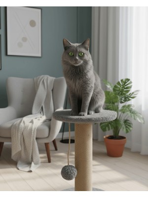 Reyo Stepli Kedi Tırmalama Tahtası Gri