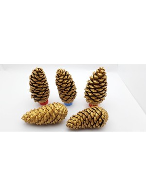 Empressco Boyalı Kozalak Model 06, Yılbaşı ve Noel Ağacı Süsleme Için Dekoratif Parça