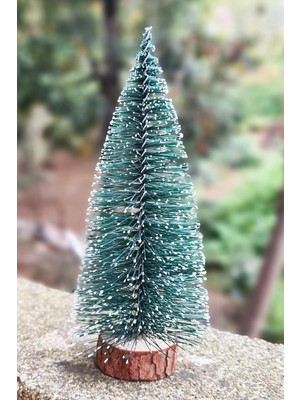 Empressco Mini Masa Üstü Yeşil Çam Ağacı Süs, Yılbaşı Dekorasyonu