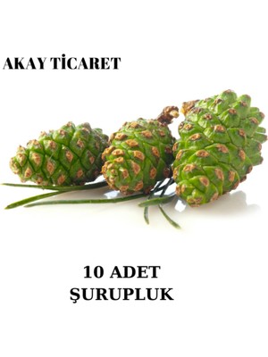 Empressco Doğal Yeşil Çam Kozalağı 10 Adet, Taze ve Şurupluk, Sağlık Dolu Kozalaklar