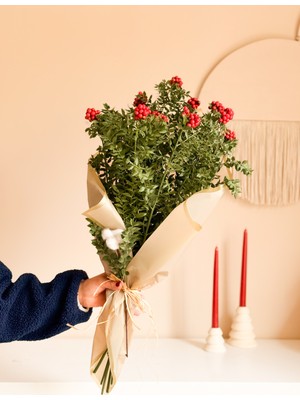 Empressco Yılbaşı Çiçeği Kokina Şans Bitkisi, Yeşil, Canlı ve Şık Dekorasyon Parçası