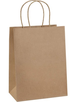 Retapack 25X12X31 Burgu Saplı 70GSM Recycle Kraft Kağıt Poşet 500 Adet