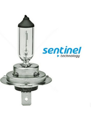 Sentinel H7 Halojen Far Ampülü 12 Volt 55WATT