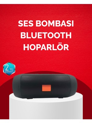 Tgzm Bluetooth Hoparlör 20W Bass Güçlü Ses USB Flash Aux Destekli - TG0012-2RP675