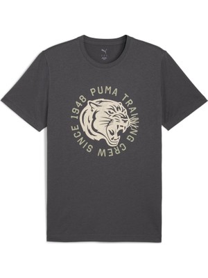 Puma    Gri Erkek T-Shirt