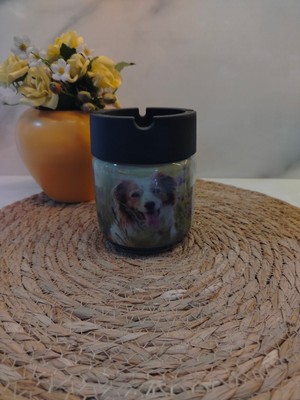 Cam Kavanoz Küllük Köpek