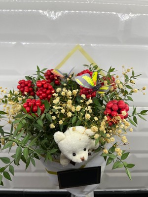 Green Deco Kokina Çiçeği 9 Dal Aranjman Beyaz Buket (Kelebek -Ayıçık -Cipso )