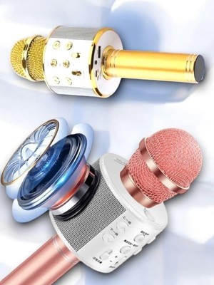 Tgzm Kareoke  Mıkrofon - TG0012-2RIUR2